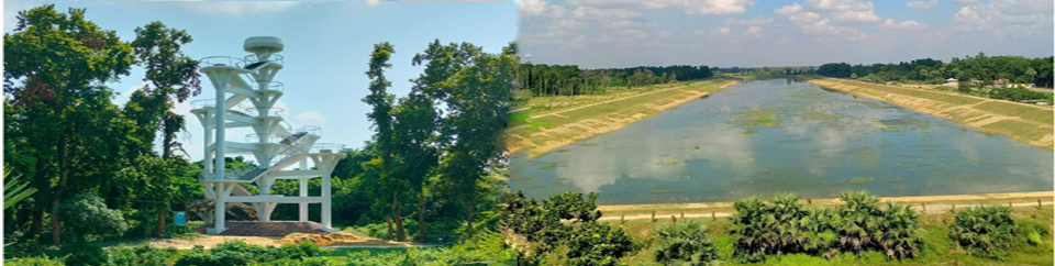 Social Forest Department, Rajshahi